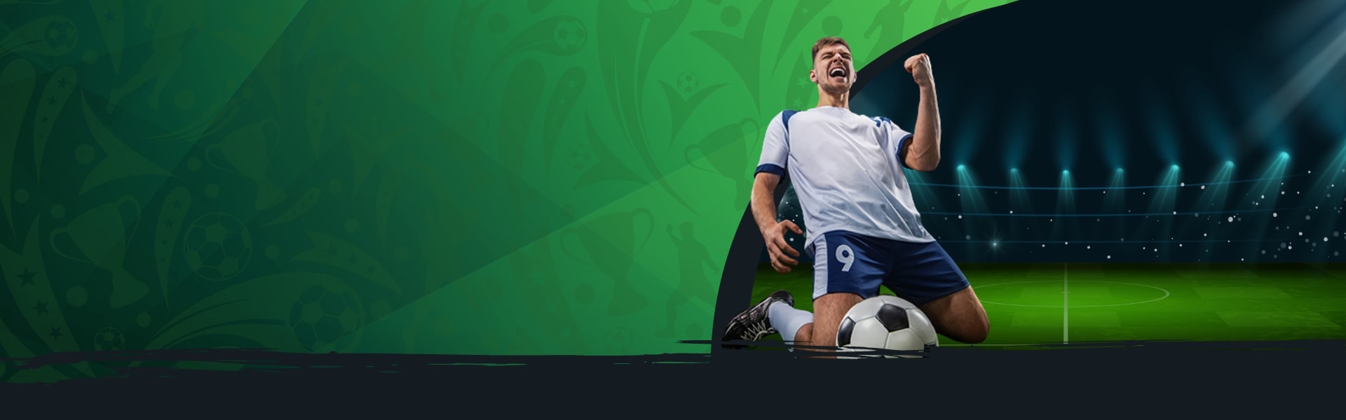 sudoku solver asset nyt
