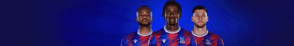 sudoku solver's asset
